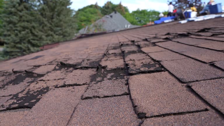 Best Steel Roofing  in Lebanon, KY