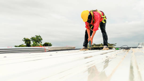 Best Green or Eco-Friendly Roofing Solutions  in Lebanon, KY